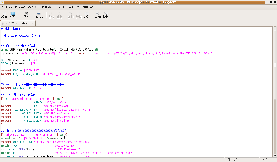 Screenshot-qq2007beta4kb1 (-usr-qq2007beta4kb1) - gedit.png