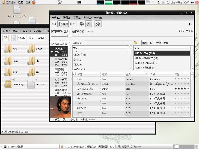 自己拼凑的 gtkrc 控件样式
