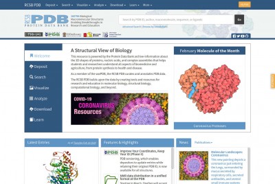 RCSB_PDB_Homepage.jpg