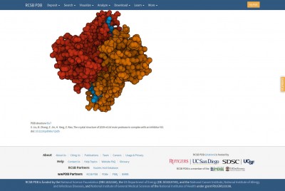 RCSB_PDB_COVI-19_page.jpg