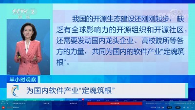 为国内软件产业“定魂筑根”.jpg