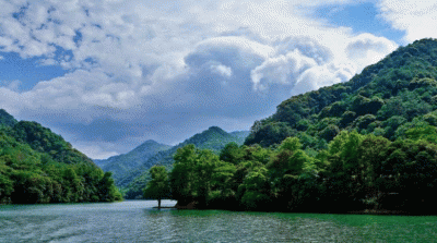 dtest.resized.gif