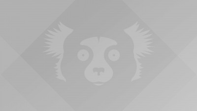 Impish-Indri-wallpaper-grey-compressed.jpg