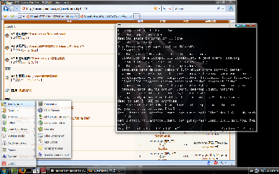 copy的vista字体，最喜欢的urxvt和firefox。每次装好opera都很少用，字体太难看。