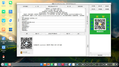 笈智中医青龙版图形界面运行在电脑版 “深度”v20.9系统