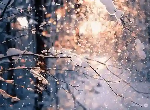 snow-1.webp