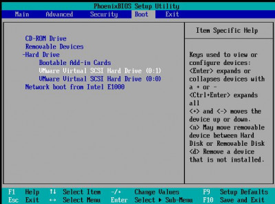 bios.JPG