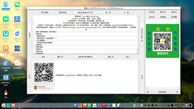 笈智中医电脑1.1a版运行在国产“深度v20.9系统”截图