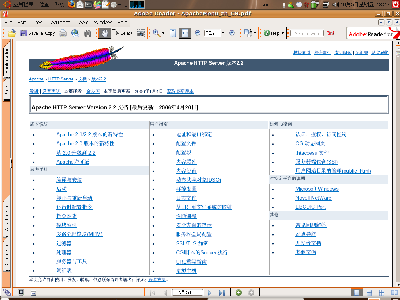 apachePDF2.png