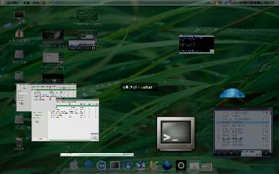 Screenshot-7.png