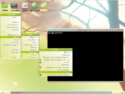 flux2.png