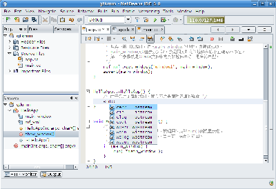 Screenshot-gtkmm - NetBeans IDE 6.0-1.png