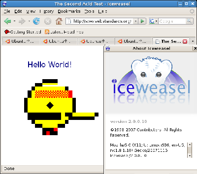 Screenshot-The Second Acid Test - Iceweasel-3.png