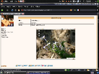 相<br />当<br />不<br />错<br />。<br />。<br />。<br />。