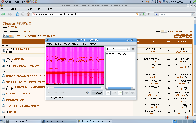 出现的问题