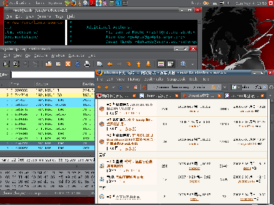 2008-05-04-105336_1024x768_scrot.png