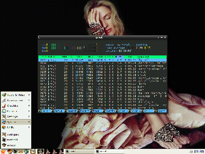 2008-06-11-214915_1024x768_scrot.png