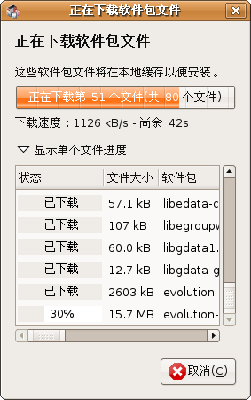 Screenshot-正在下载软件包文件-5.png