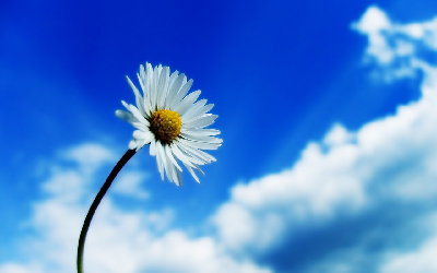 Wallpaper168.jpg