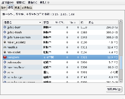 这是pangzero进程在系统监视器里的情况。