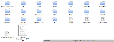 2008-07-19-233842_1112x411_scrot.png