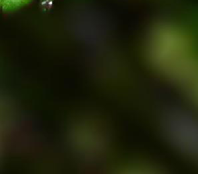 2008-08-18-234633_297x261_scrot.png