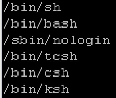shell.jpg