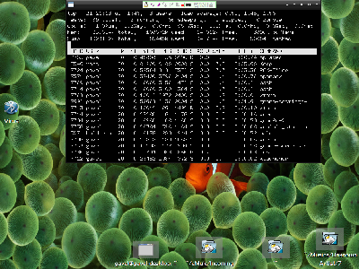 2008-08-25-212115_1024x768_scrot.png