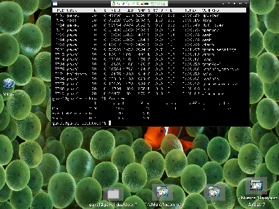 2008-08-25-212138_1024x768_scrot.png