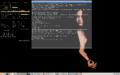 2008-09-08-210134_1440x900_scrot.png