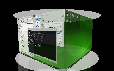 suse03.jpg