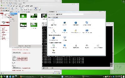 suse07.jpg
