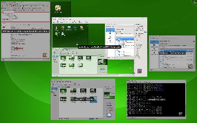 suse09.jpg
