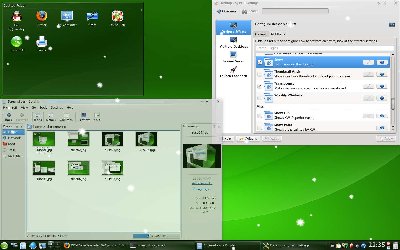 suse08.jpg