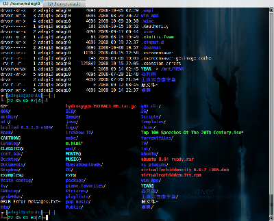 Screenshot--home-adagi0 - LilyTerm.png