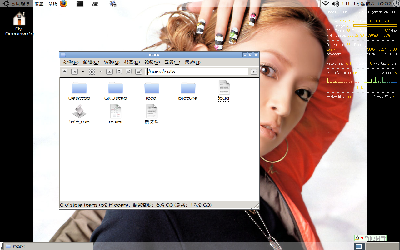 2008-11-01-100222_1280x800_scrot.png