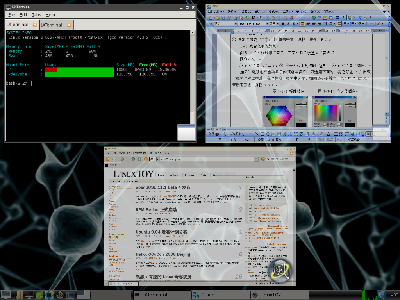 compiz fusion