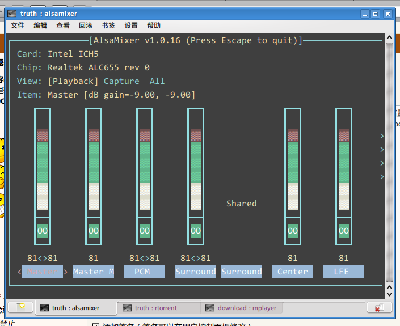 alsamixer.png
