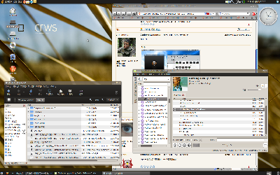 screen shot
