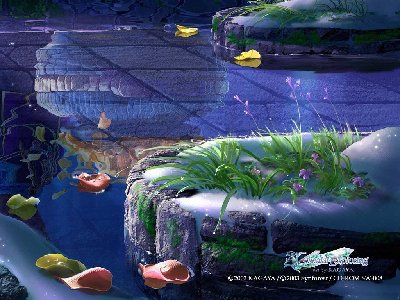 KAGAYA-01.jpg