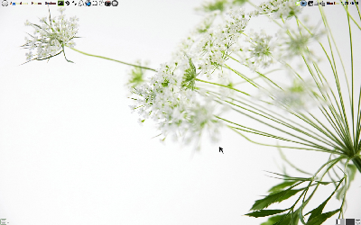 Screenshot.png