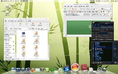 otara_ubuntu8.10
