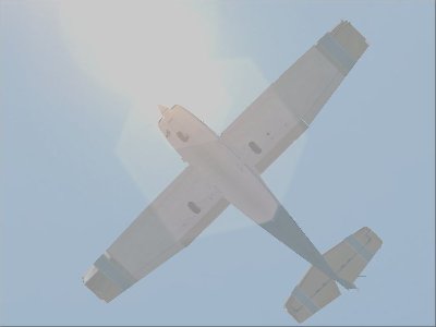 007.jpg