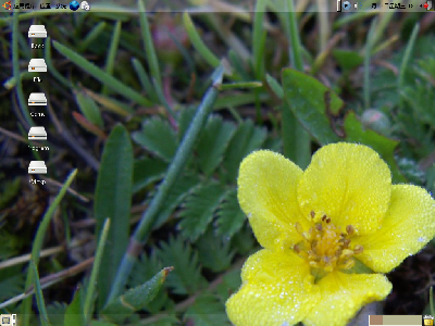 Screenshot.png