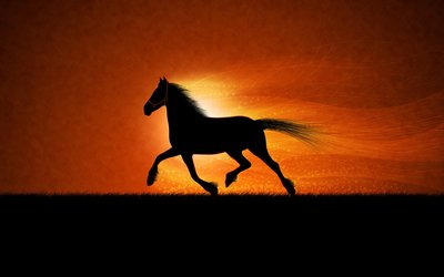 running_horse.jpg