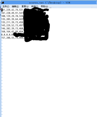 查询结果。vim scores.txt