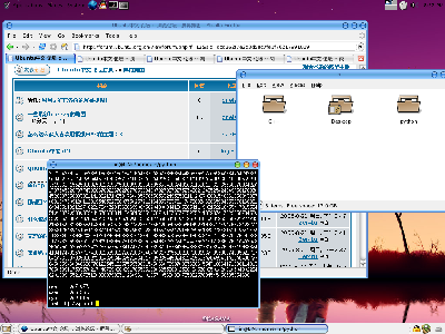 这一张上的Rxvt是什么字体啊？在字体选择那里找不到。