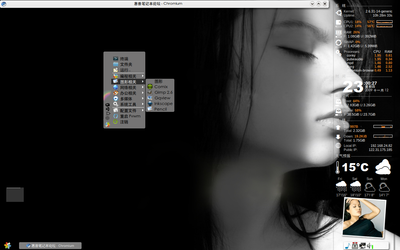 2009-11-12-230027_1280x800_scrot.png