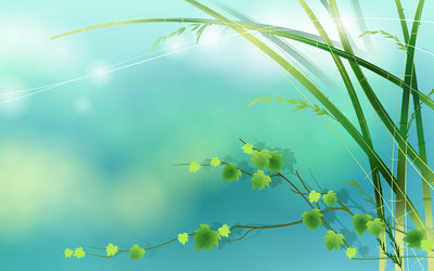 8bd3aecc67ec3b0c01e92804.jpg