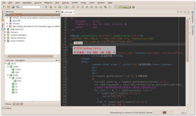 Screenshot-List2 - NetBeans IDE 6.8.png